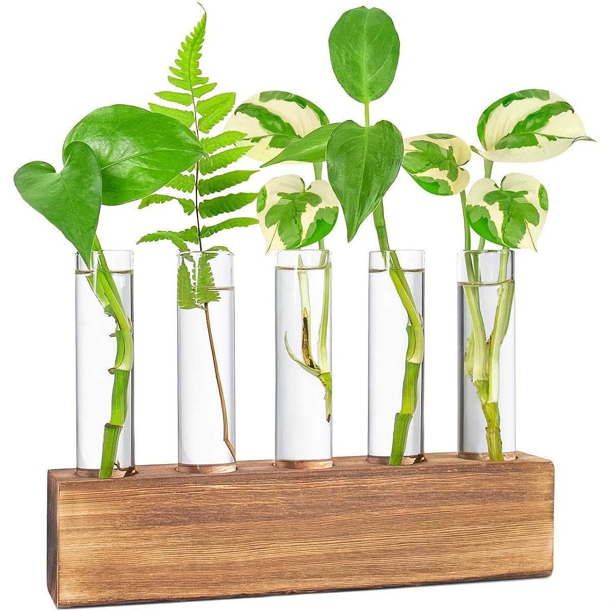 TEMU Plant Propagation Station, Plant Terrarium With Wooden Stand, Plant Pots For Hydroponics, Small Birthday Gardening Gifts For Women Mom Plant Lovers Unique