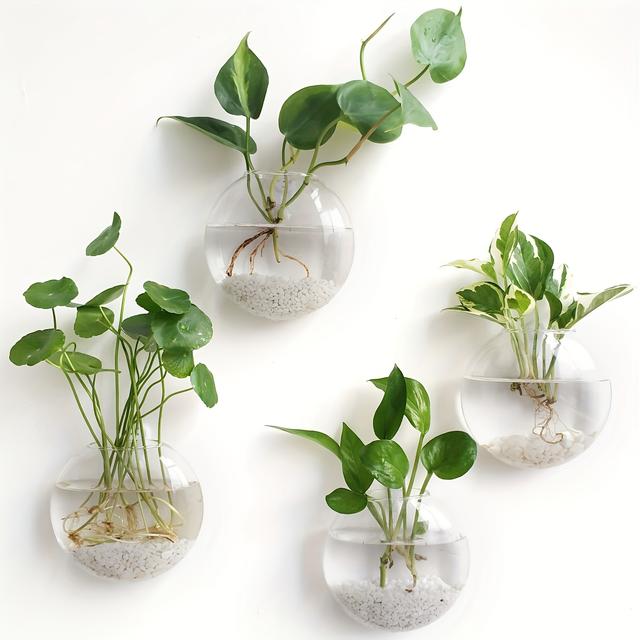 TEMU 2/4pcs Wall Hanging Glass Terrariums Planter, Hydroponics Plant Vase For Wall Decor, Home Office Living Room Decor