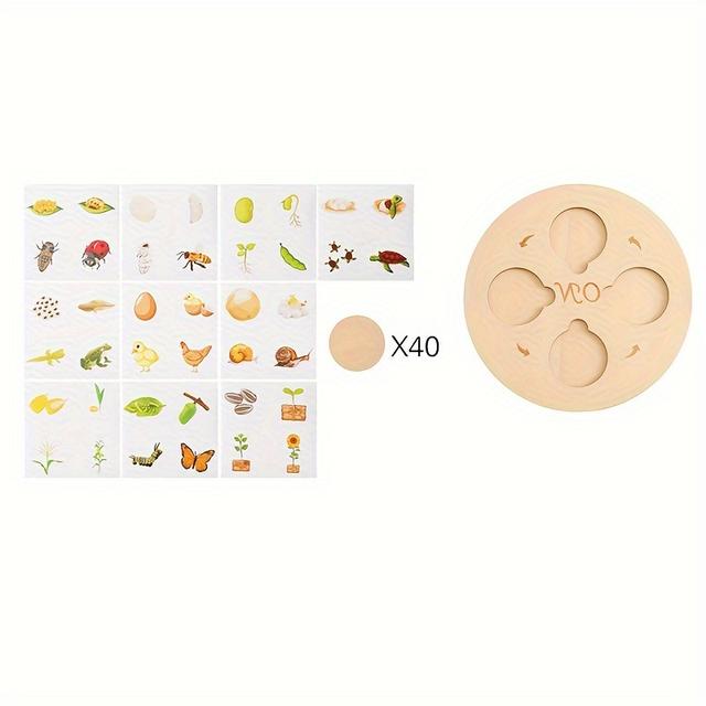 TEMU Fa Életciklus Puzzle | Növekedési Ciklus Tárcsa Kognitív Játék, Oktató Biológiai Tudományos Játék Gyerekeknek, Tanulás Játék közben, Ideális Karácsonyi, Halloween, Születésnapi Ajándékok