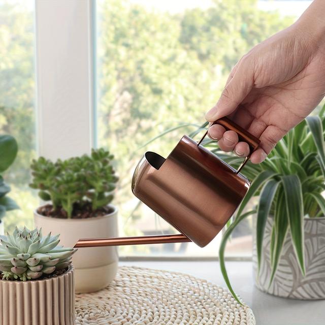 TEMU Stainless Steel Mini Watering Can Bronze (10oz/300ml) Metal Office Succulent Green Plant Potted Flower Decoration Watering Can