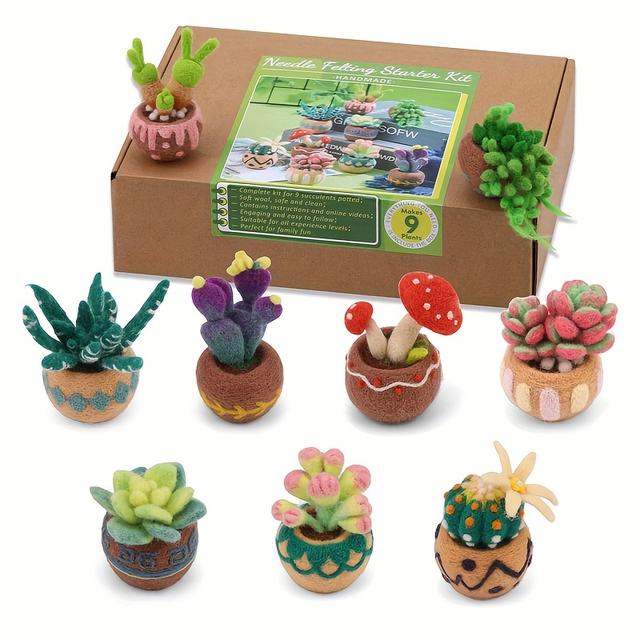 TEMU Kit de Fieltro con Aguja, 9 Piezas para Principiantes, Herramientas de Feltrado Incluyen Lana Roving, Alfombrilla de Espuma y Agujas, Kit Completo para Crear Suculentas DIY