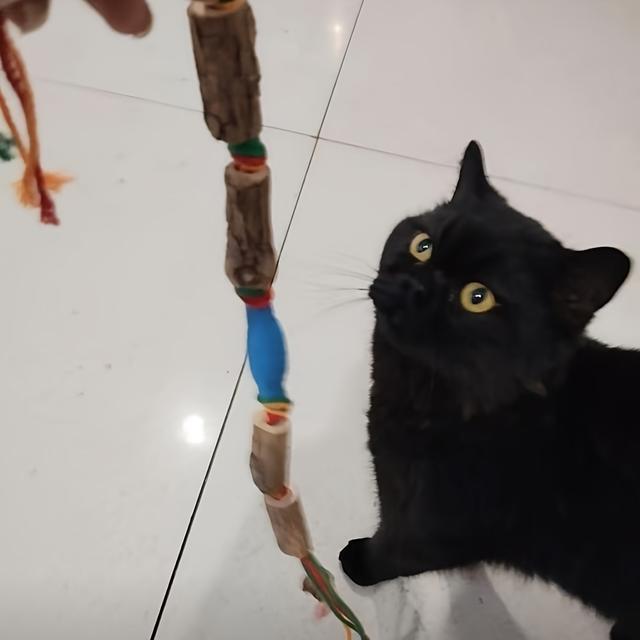 TEMU Toys That Attract Cats To Play - Natural Cat Toys For Chewing And Made Of Rope, Without Battery