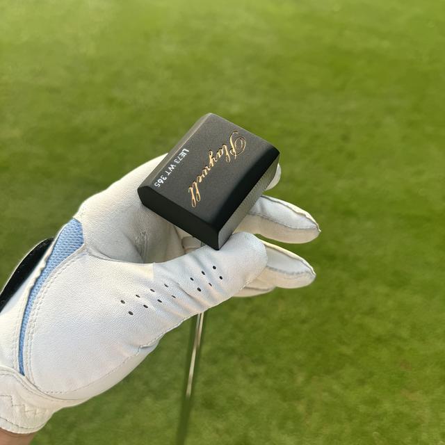 TEMU Golf-Putter aus geschmiedetem Edelstahl für Rechtshänder - Präzisions-Einsatzputter mit steifem Flex-Stahlschaft, PU-Ledergriff und Schlägerhaube - 34 Zoll, 365g