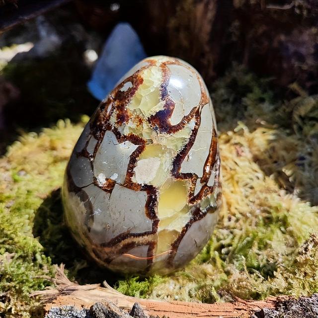 TEMU 1pc Stunning Dragon Septarian Stone Quartz Crystal Geode Egg, Teaching Resources Specimen, Septarian Dragon Quartz Egg, Christmas, Easter Gifts, Decor, Ideal Gift For Crystal Collectors.