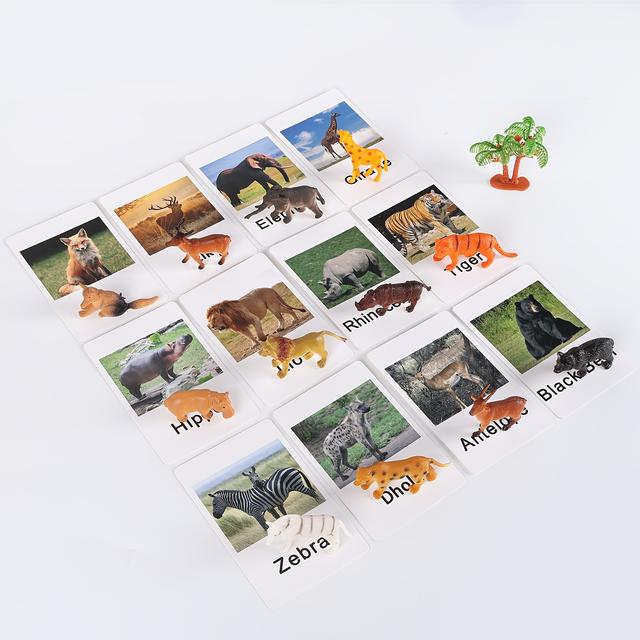 TEMU Animal Flash Cards Match Cards Insects And Animals Figurines And Cards Learning Materials Sorting Learning