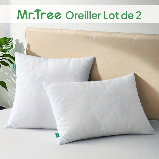 TEMU Ensemble de 2 Coussins , en Microfibre de Haute Qualité, et Soutenant, Confortables et Respirants Style Hôtel