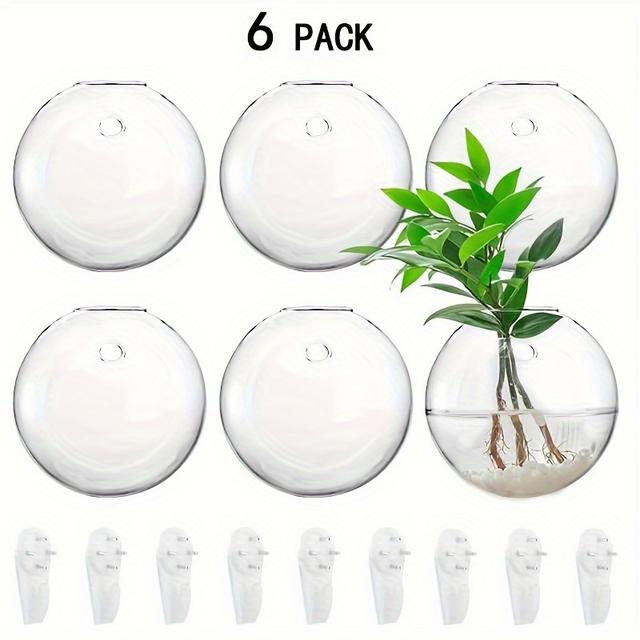 TEMU 6-teiliges Set aus Glasvasen, wandmontierte runde Glas-Pflanzgefäße, hängende Luftpflanzenvasen, Glasbehälter für Hydrokulturpflanzen