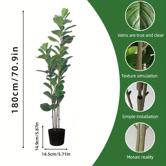 TEMU Stijlvolle schaal simulatie van Ficus virgata - 27.2/59.1/70.9 inch , onderhoudsvrij interieurdecoratie, geschikt voor huis en kantoor, duurzaam polyester materiaal, verstelbare takken