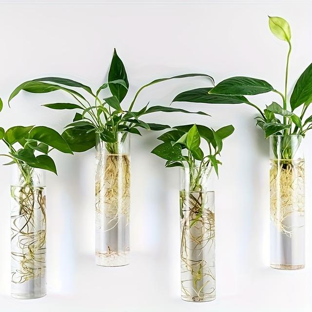 TEMU 4pcs Self-watering Glass Wall-mounted Vertical Planter - /outdoor Hanging Cylinder Suitable For Home, Office, Balcony - Modern Self-watering Glass Greenhouse Pots