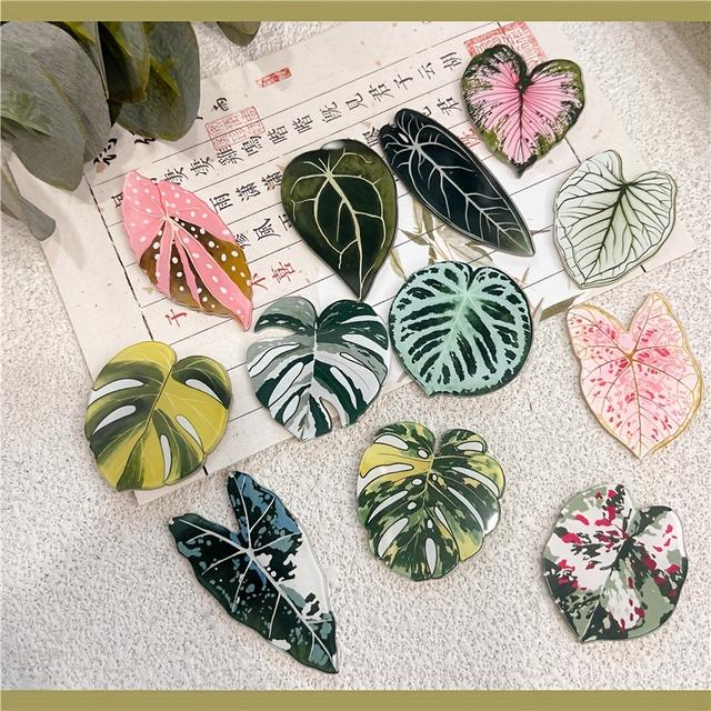 TEMU Juego de 12 imanes acrílicos para nevera con hojas de Monstera y Begonia, perfectos para decorar tu cocina, o refrigerador. Excelentes ideas de regalo para amigos y obsequios navideños originales