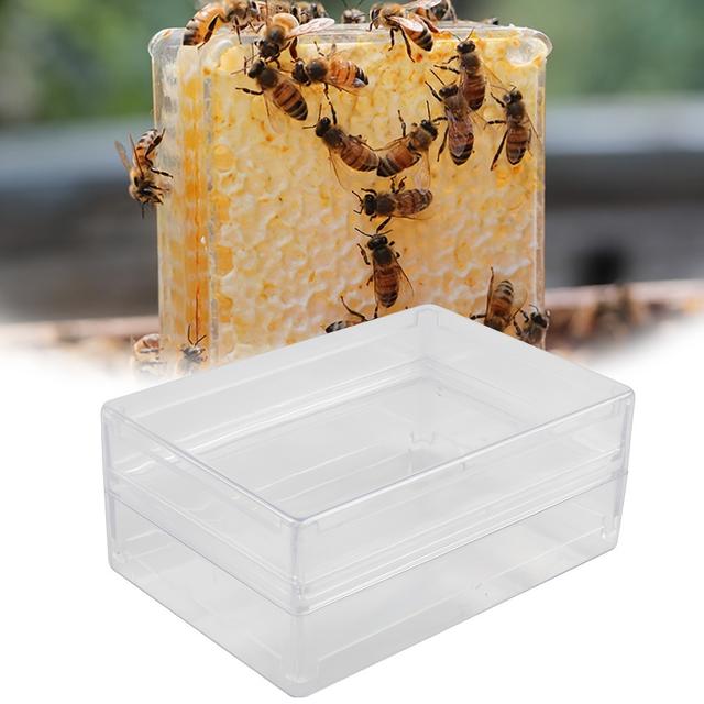 TEMU 10 szt. Pudełko na miodu w plastra miodu z tworzywa sztucznego o pojemności 250G, prostokątne pudełko na plastry miodu, narzędzia pszczelarskie