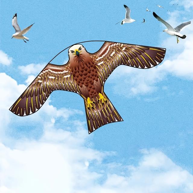TEMU New Bird-repelling Hawk Scare, Farm Protecting Plants Paddy Field Kite