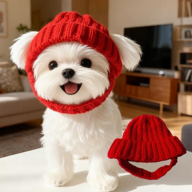 TEMU Knitted Hat For Maltese Dogs, Designed To Keep Their Ears Warm Indoors And Outdoors.