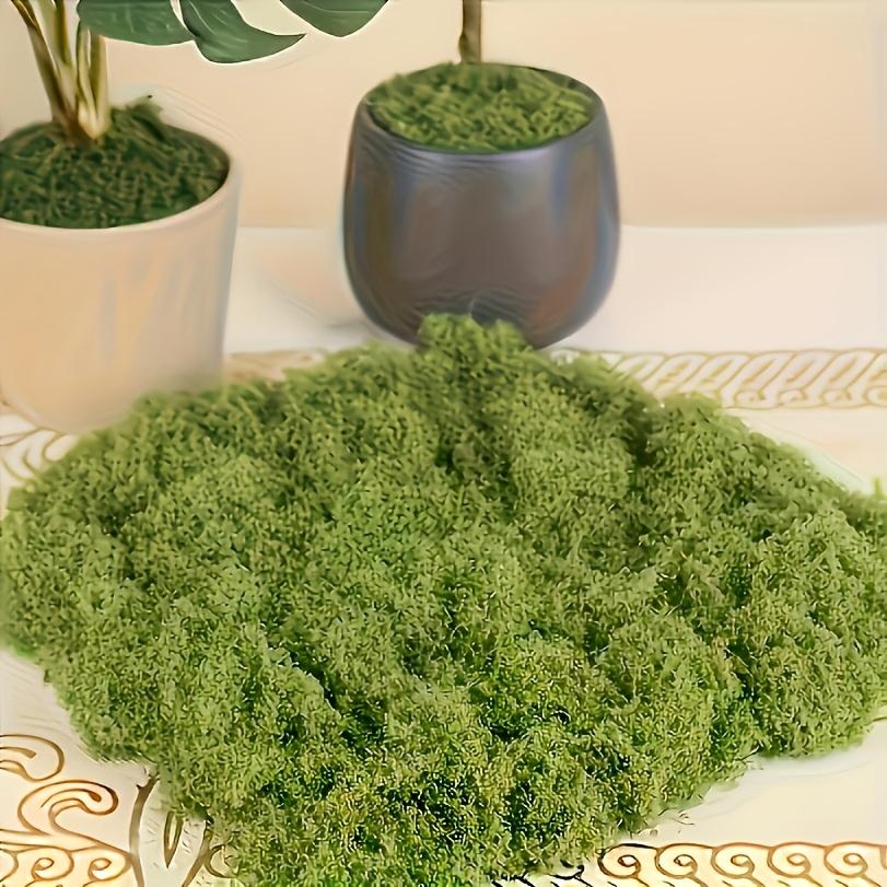 TEMU 1pc Of Artificial Moss Lawn - Micro Landscape Simulation , Potted Window Decorations, 30 Grams/1.06 Ounces, Plastic Material, Hand Tools And Supplies, Suitable For Home And Office Decoration