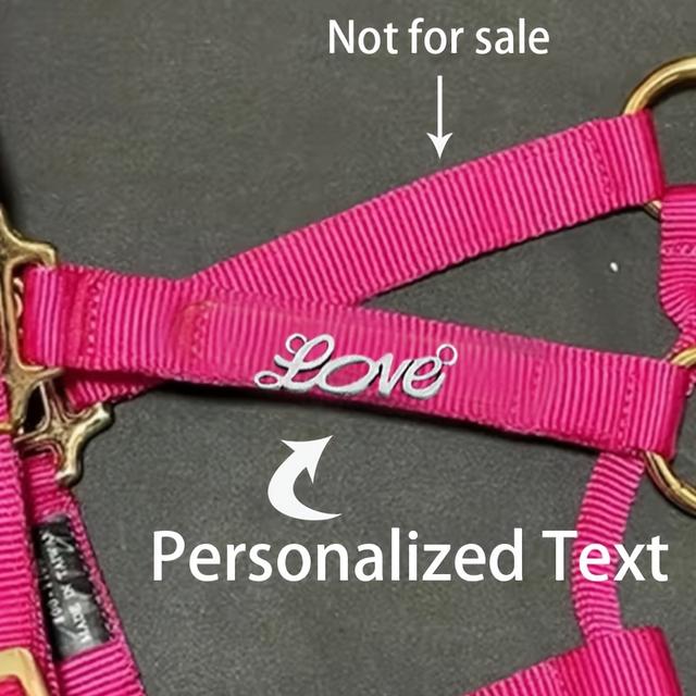 TEMU Customized Personalized Text Cutting For Horse Name Plates, Engraved For And , And Text For Dog Collars.