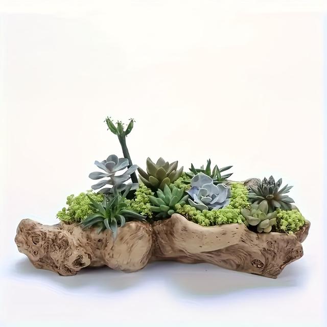 TEMU Retro Versatile 1pc Resin Flower Pot, Suitable For Succulents And – Creative Abs Material Arrangement Planter Ideal For Indoor Plant Display (plants Not Included), Decorative Floral Container