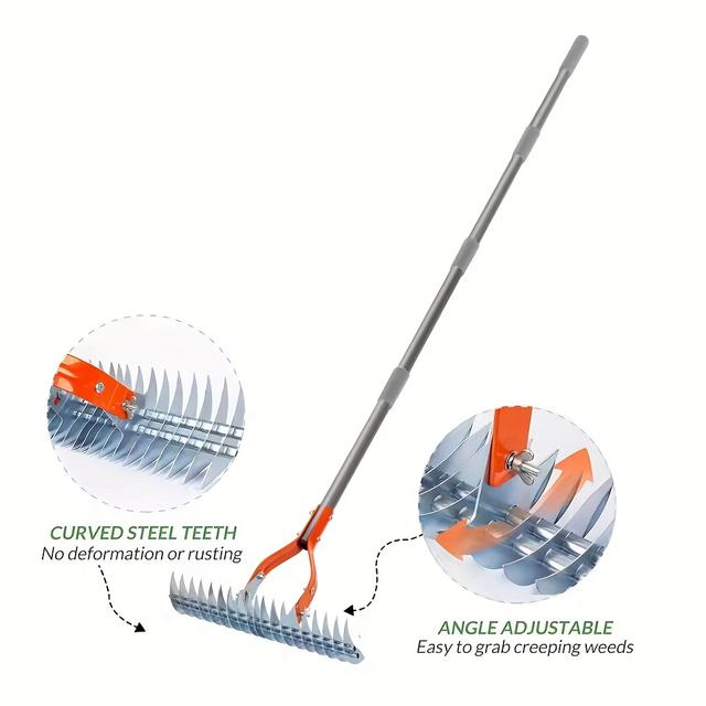 TEMU A Stainless Steel Thatch Rake And Lawn Leveler Are Used For Removing Dead Grass.