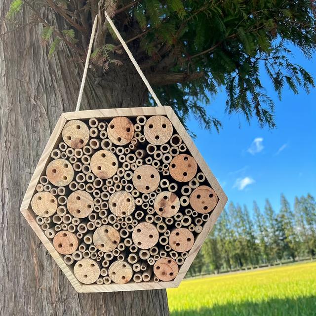 TEMU Wooden Bee And Insect House With Hanging Rope, Durable Garden Beehive Shelter, Attracts , Ideal For Countryside Yard Decor
