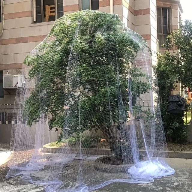 TEMU Protection Nets, Fruit , Balcony Safety Nets, Outdoor Covering Nets, Protection For Cherry, Grape, , Pond Safety Nets, And Outdoor Garden Protection Nets