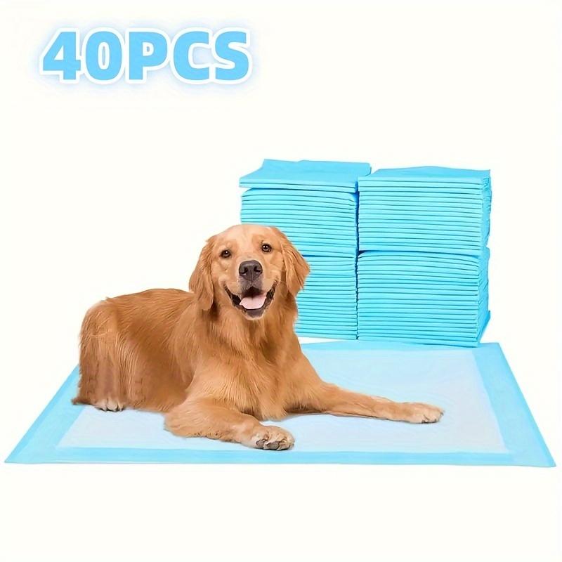 TEMU 40/100pcs Pet Diaper Pad Deodorizing Dogs Essentials Diaper Diaper Pet Toilet Supplies