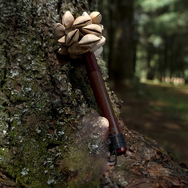 TEMU Sonic Energy Seed Shell Shaker Schlaginstrument — Naturgeräusche für Meditation, Autogenes Schlaf- und Entspannungsmusik, Klangtherapie, Yoga