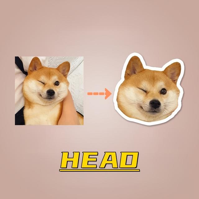 TEMU Tailored Photo Magnet | Custom Refrigerator Cutout Magnets | Magnetic Pictures For Home Decor