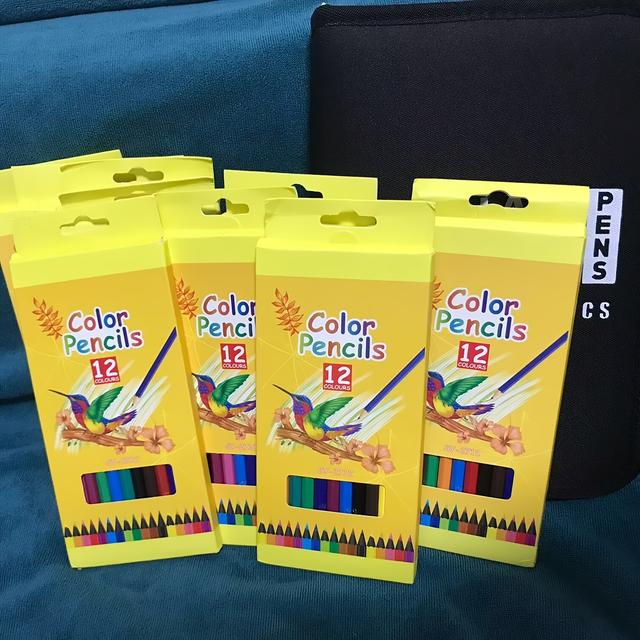 TEMU 6 Scatole Di Colorati Esagonali A 12 Colori Pre-affilati Con Asti , Adatti Per Un Utilizzo Professionale.