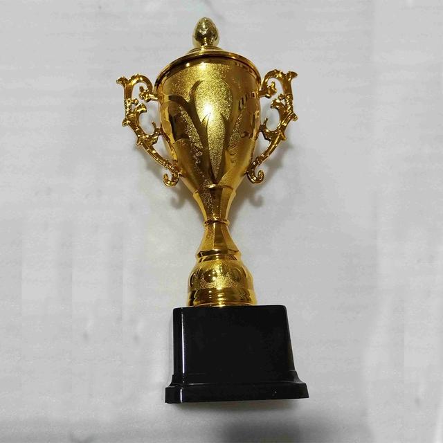 TEMU El Dorado es perfecto para modelos de plástico, ideal para el uso diario, concursos, celebraciones y juegos . Es un y un otorgado al , junto con una colección de artículos para fiestas.