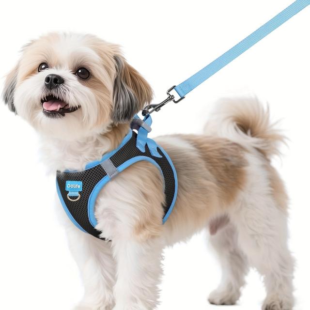 TEMU Conjunto de arnés y correa para perro, con chaleco y transpirable para perros pequeños, con reflectantes para seguridad nocturna, adecuado para pequeñas