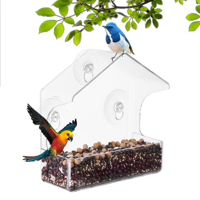 TEMU To Your Home With This Clear Plastic Window Bird Feeder - Strong Suction Cups Included!