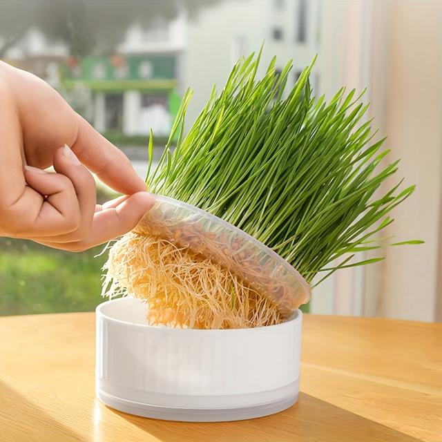 TEMU 1pc Striped Hydroponic Planting Pot For Gardening And Seedling Cultivation