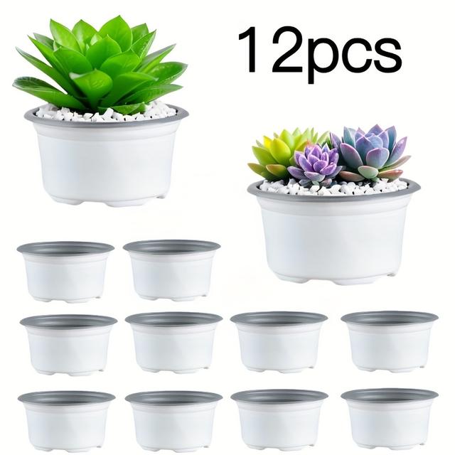 TEMU 12/24pcs Convenient Minimalist White Plastic Succulent Pots With Drainage For Desktop Succulents, Small Plants, Indoor/outdoor Use, Transplanting Seedlings