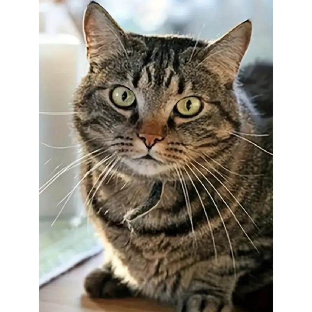 TEMU 30*40cm/11.8*15.7in Ate Full Diamond Mosaic Art Pictures 5d Diy Handmade Gift Home Decoration