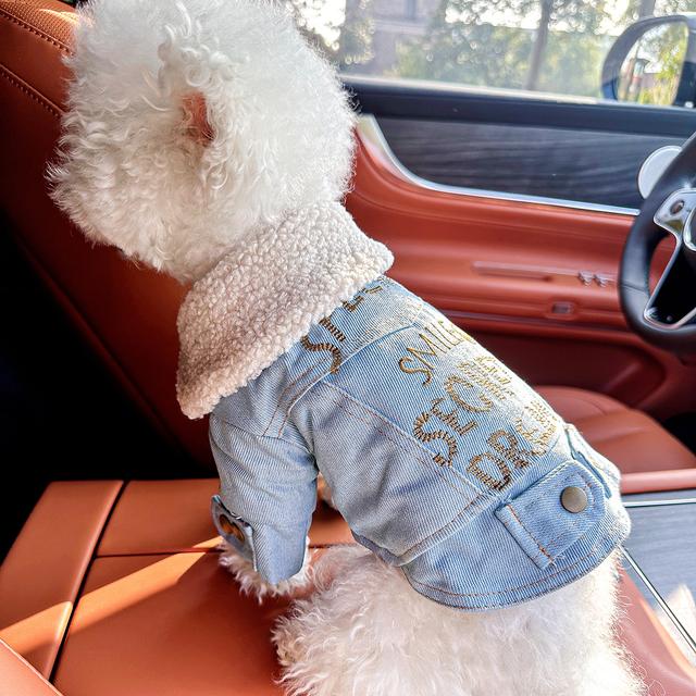 TEMU Ropa para Mascotas con Letras en Inglés, Chaqueta Forrada y Acolchada para Otoño e Invierno, Abrigo y Lindo para Perros y Gatos