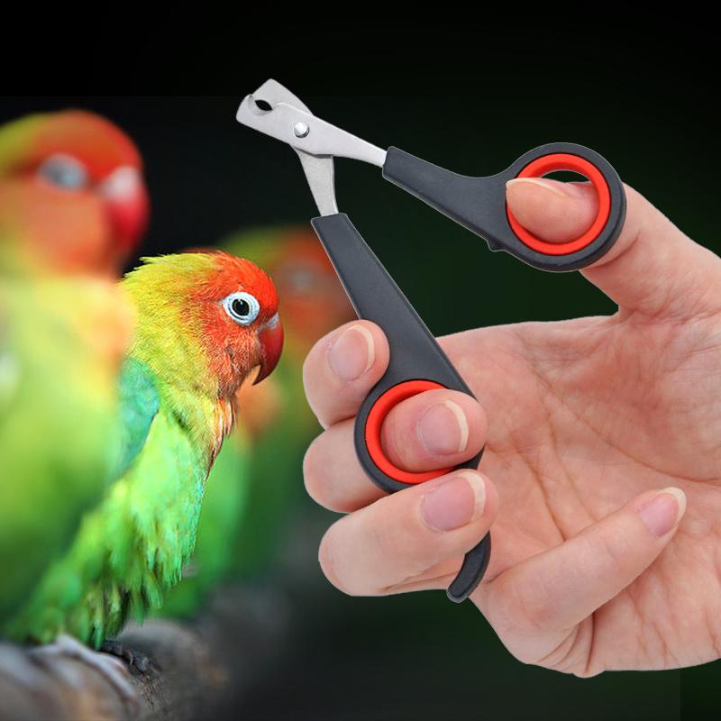 TEMU Pet Nail Clippers Cutter Parrot Nail Trimmer Scissors For Dogs Cats Birds Guinea Pig Animal Claws Paw Cutter Bird Parrot Shear