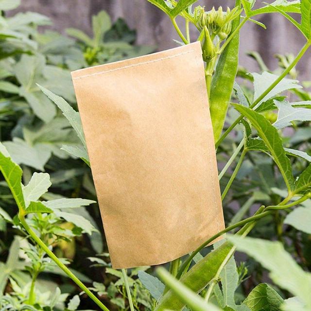TEMU 100pcs Paper Seed Protective Envelope Storage Bags Envelopes Packets