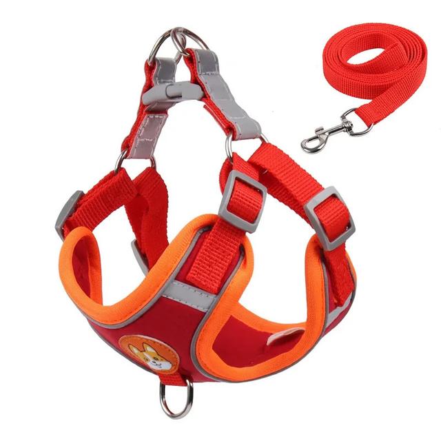 TEMU Conjunto de arnés y correa ajustable para perros pequeños y medianos, con chaleco reflectante y correa de pecho para al aire libre, sin batería