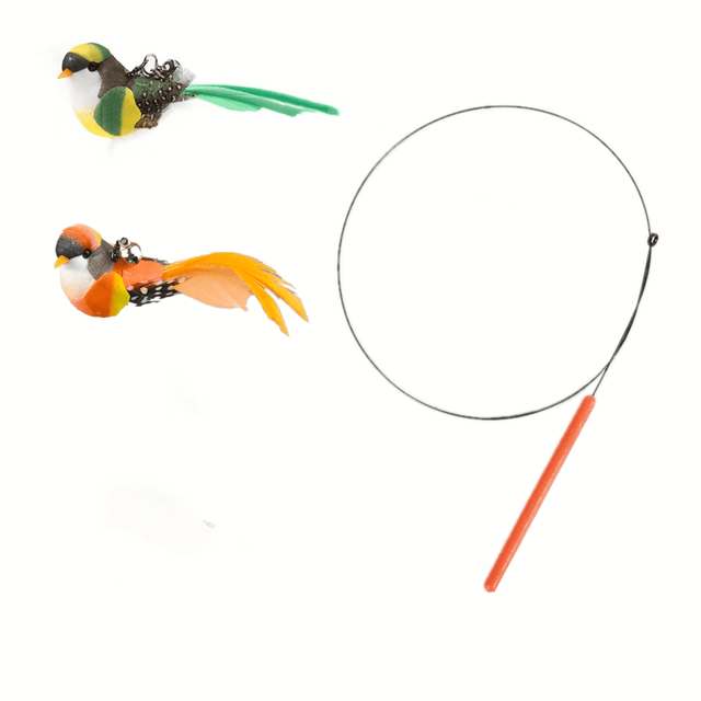 TEMU Interactive Cat Teaser Toy Set With Realistic Bird Attachments - Handheld Long Pole , Durable Plastic, Ideal For Small Cats Exercise And Hunting Play, Cat Teaser Toys, Without Battery