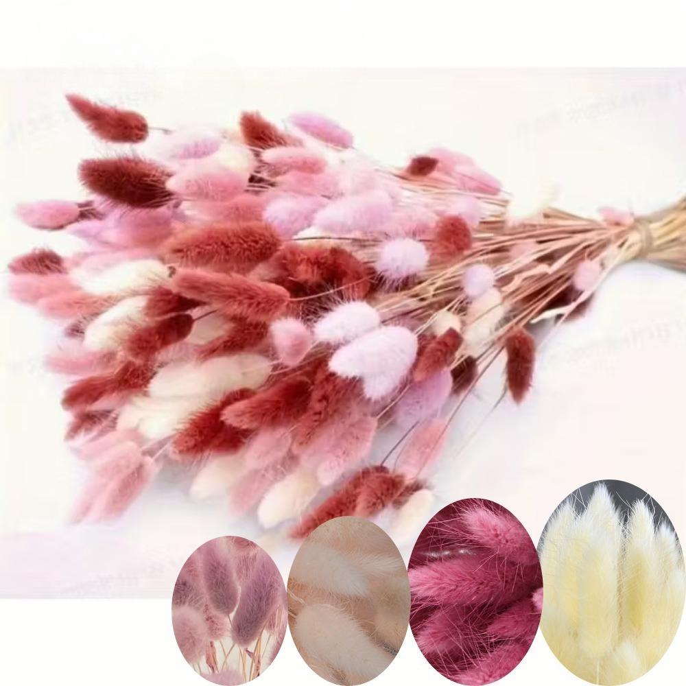 TEMU 150 Stück Trockenblumenstrauß Pampasgras mit Hasenohrblumen | Boho Hochzeit, Party & Kunstblumen Arrangement Geeignet für Vase, Ideal für Neujahr, Muttertag, Hochzeitsdekoration