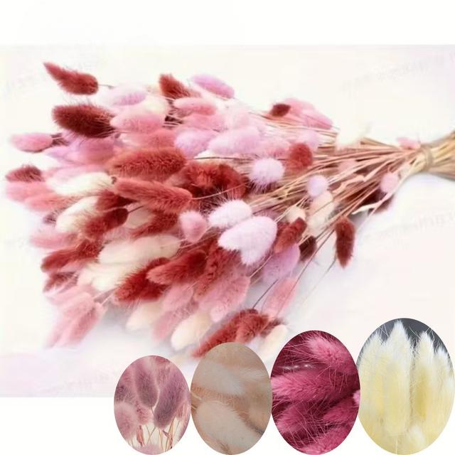 TEMU 150 Stück Trockenblumenstrauß Pampasgras mit Hasenohrblumen | Boho Hochzeit, Party & Kunstblumen Arrangement Geeignet für Vase, Ideal für Neujahr, Muttertag, Hochzeitsdekoration