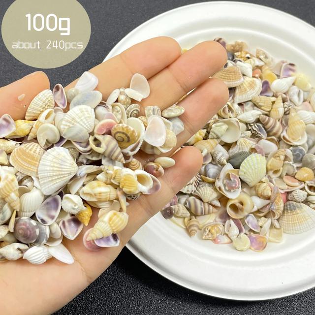 TEMU Colorful Mini Seashell Mix, 100g Bag, Suitable For Diy Crafts, Scrapbooking, And Decoration Of Message Bottles And Aquariums.