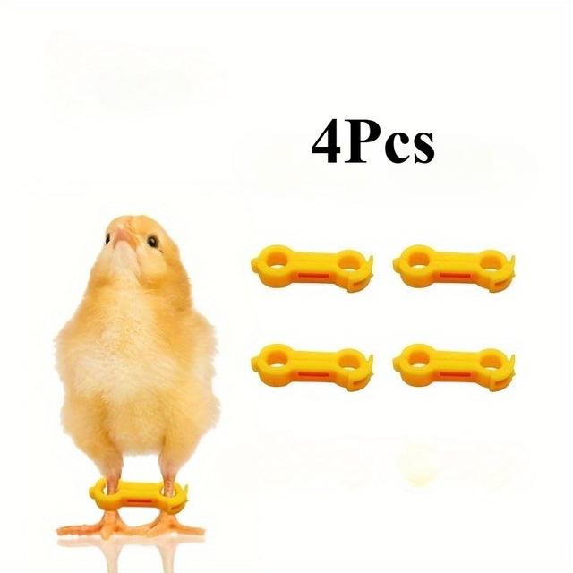 TEMU 4pcs Chick Leg Braces For Young Chick Rehabilitation, Suitable For Baby Parakeets, Poultry Farms, Farms, And Poultry Breeding