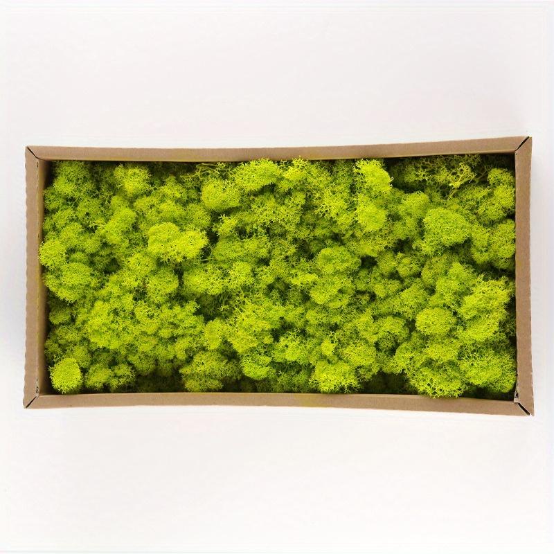 TEMU 1pc Moss Plant Wall Reindeer Home Decoration Suitable For Wedding Decoration Easter Holiday Decoration