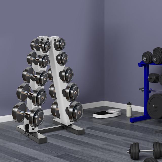 TEMU Five-story A-shaped Dumbbell Rack-white.our Dumbbell Holder Is Ideal For You. Its Sturdy Structure And Five-tier Can Store Different Sizes Of Dumbbells Well, But Play A Decorative Role