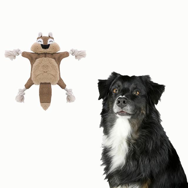 TEMU Bite Resistant Squirrel Raccoond Plush Toy - Anti Bite Plush Toy, Durable Chew Toy, Pet Plush Toys, Squeaky Dog Toy, Plush Animals For Dog, Suitable For Small And Medium-sized Dogs With Grinding