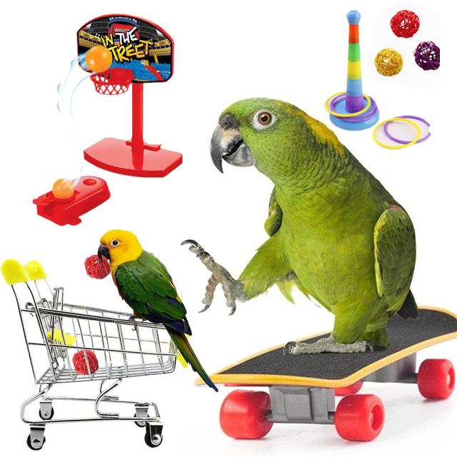 TEMU 5pcs Bird Toy Supplies, Parrot Training Toy Set, Parrot Intelligence Toy, Training Bird Toy Supplies, Bird Stacking Toy And Ball(random Color)