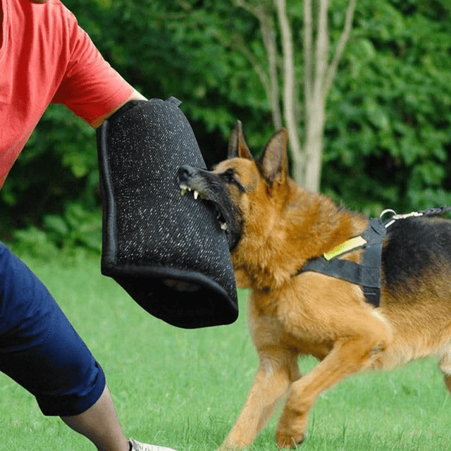 TEMU Dog Bite Sleeve, Dog Training Sleeves Arm Protection For Training Large Dogs, Professional For Puppy Work Dog Biting Playing Tugging Toy Training Large Dogs Dog Training Arm Bite Sleeve