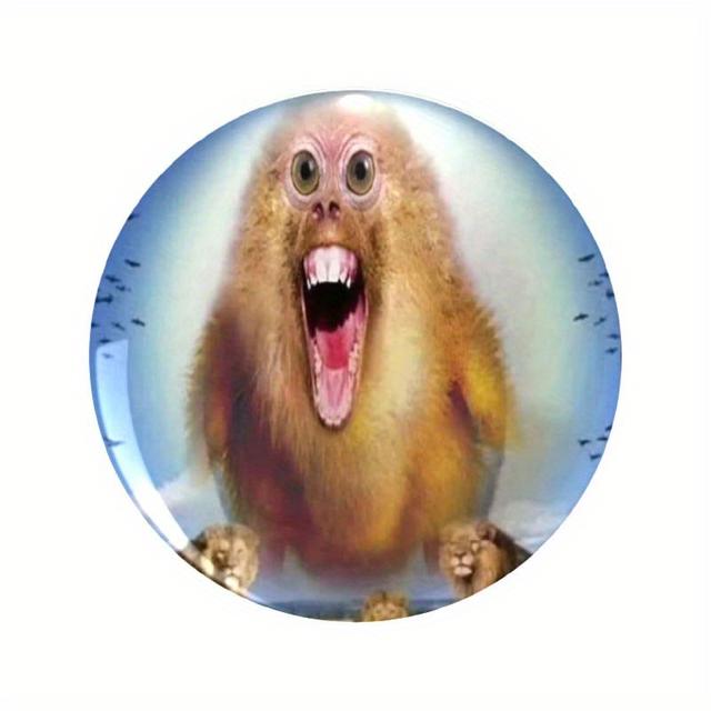 TEMU Broches de arte para ropa, sombreros y mochilas - accesorios de moda para , y : ideas divertidas y originales para cualquier ocasión