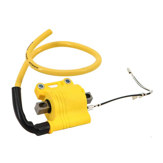 TEMU Bobina de Encendido EFI para Motocicleta, Bobina de Descarga de para Sistema EFI, Repuestos y Reparación de Motocicletas