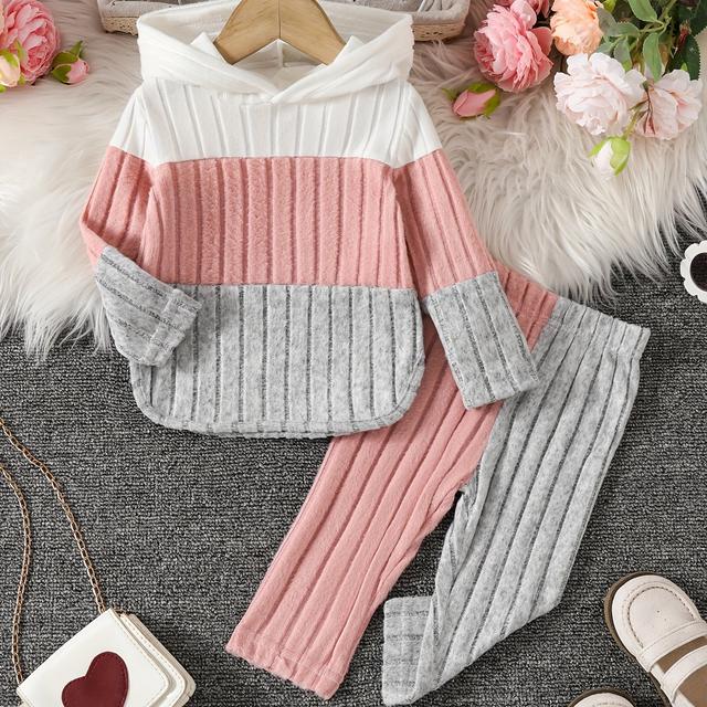 TEMU Girls' 2pcs Hooded Casual Color-block Long Sleeve Top And Slim Fit Pants Set For Winter And Autumn, Perfect For Outdoor